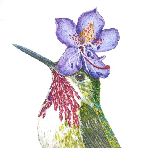 P819 paukstis kolibris su zibuokles geliu kepure - popierines serveteles